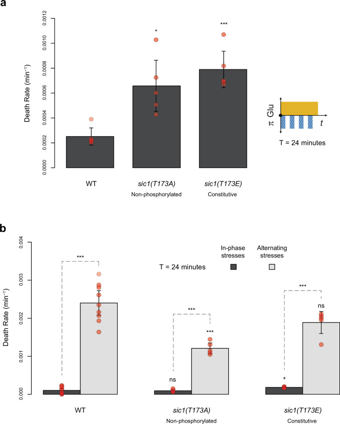 Figure 5—figure supplement 2.