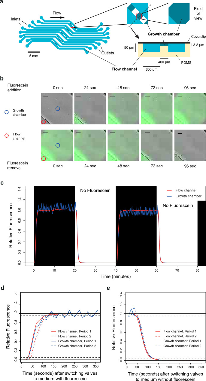 Figure 1—figure supplement 1.