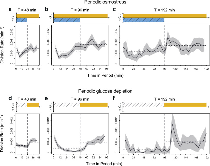 Figure 2—figure supplement 2.