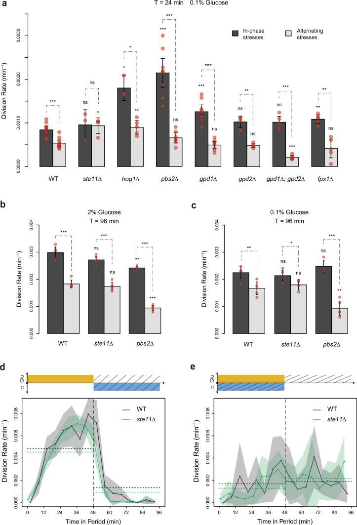 Figure 4—figure supplement 1.