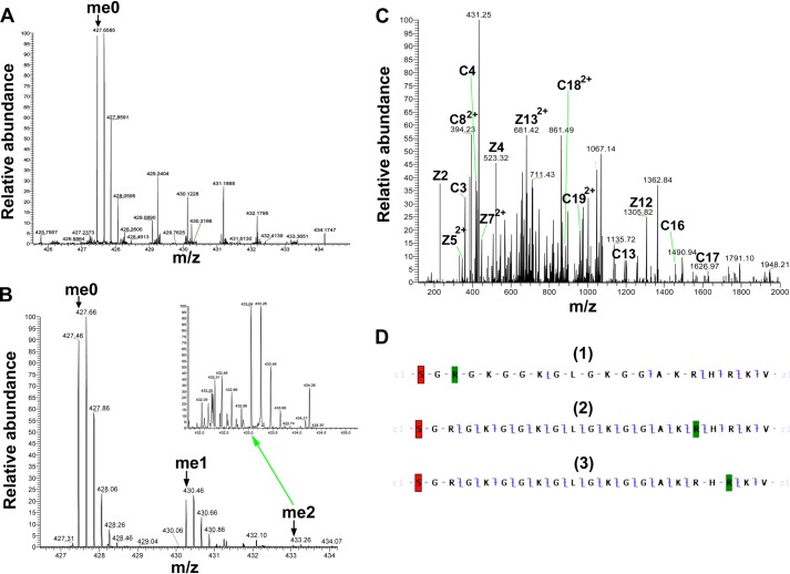 FIGURE 12.