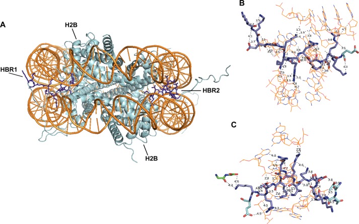 FIGURE 13.