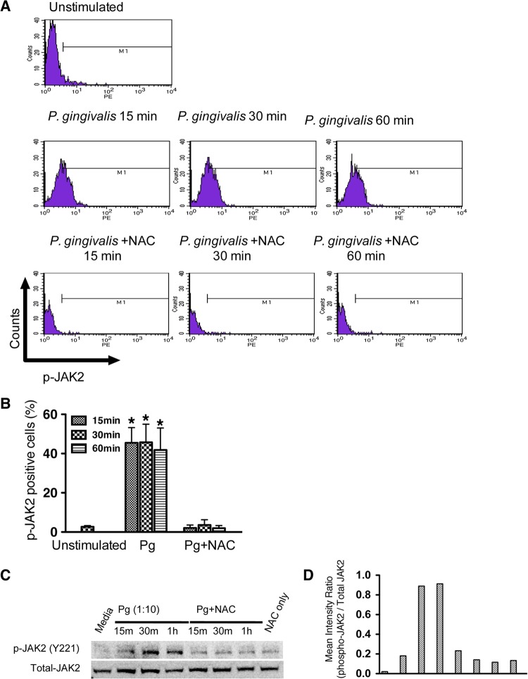 FIG 2