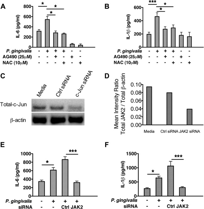 FIG 3