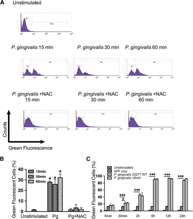 FIG 1