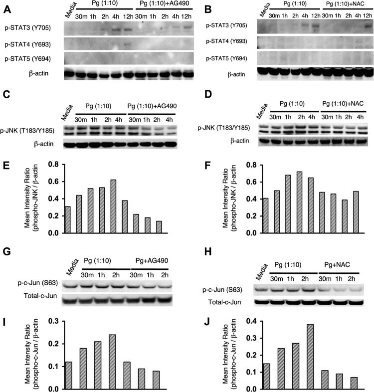 FIG 4