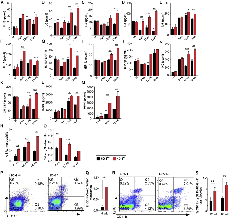 Figure 5