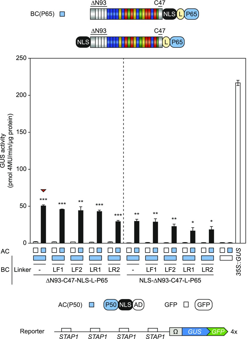 Figure 5.