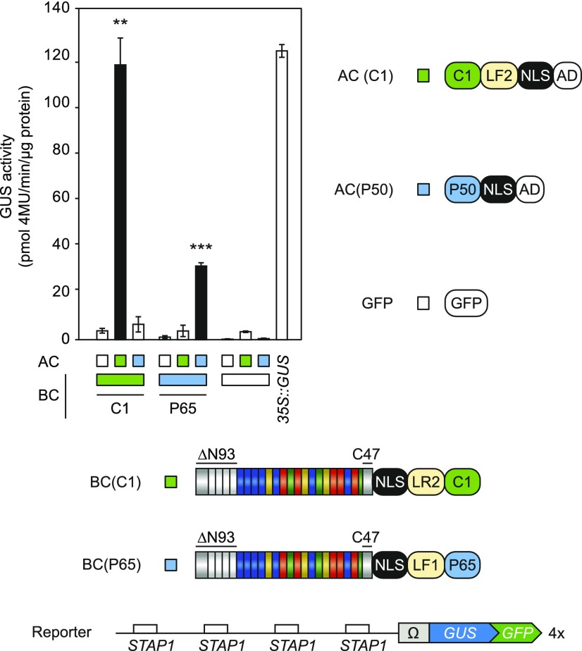 Figure 6.