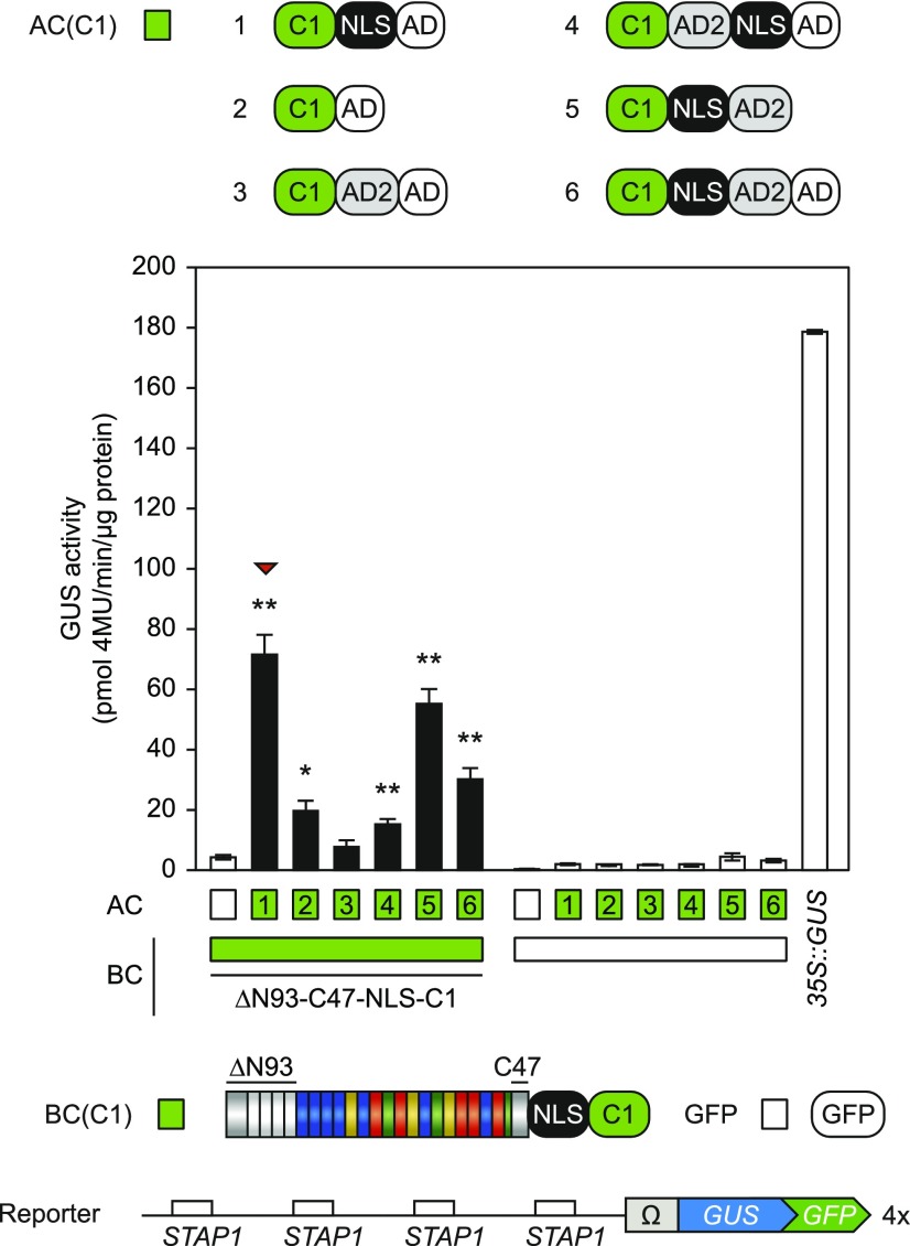 Figure 3.