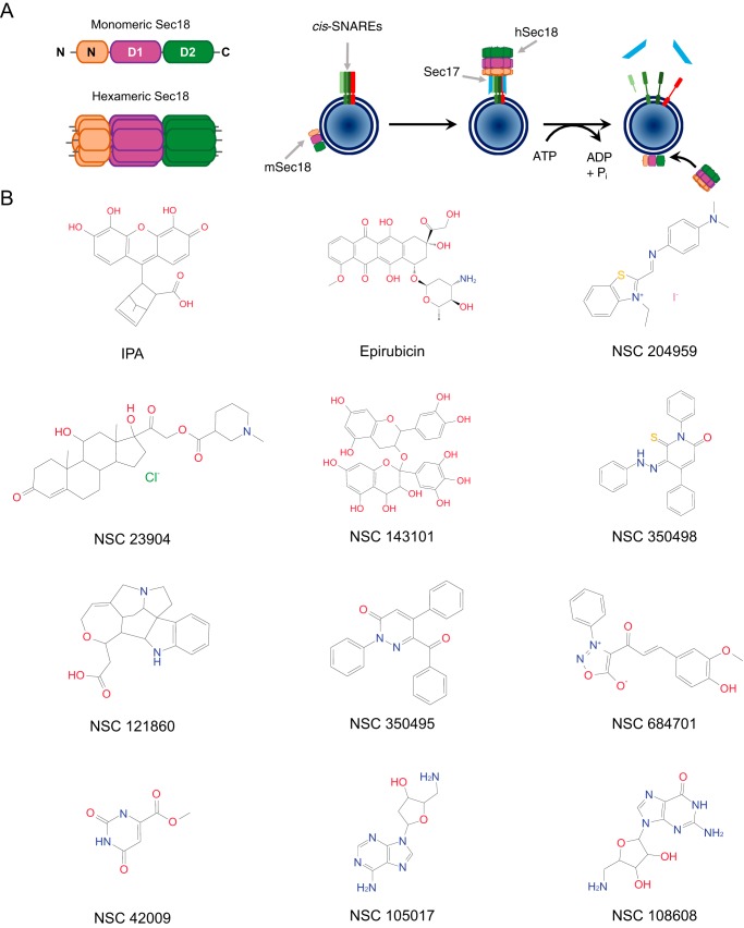 Figure 1.