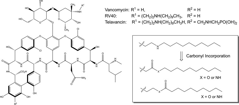 FIG 1