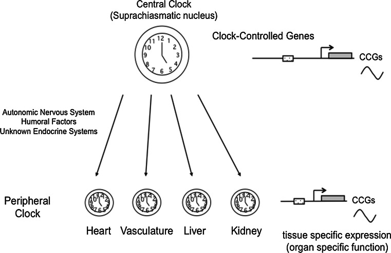 Fig. 2