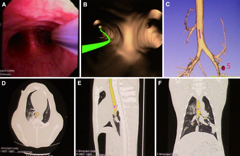 Fig. 3