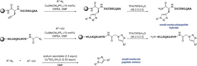 Scheme 2