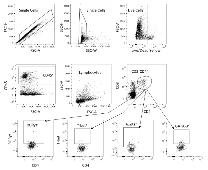 Figure 6—figure supplement 1.