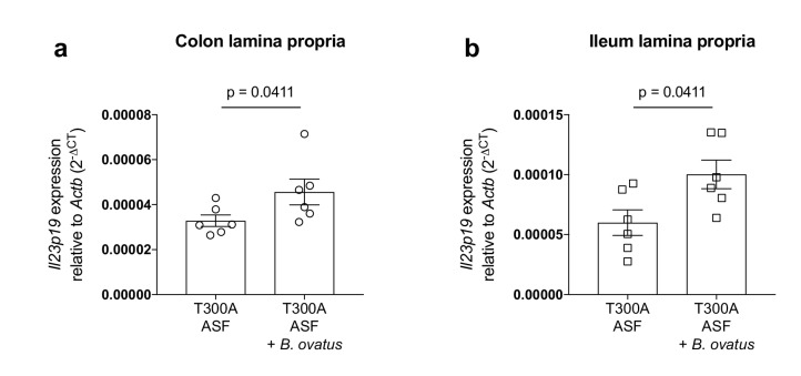 Figure 9.