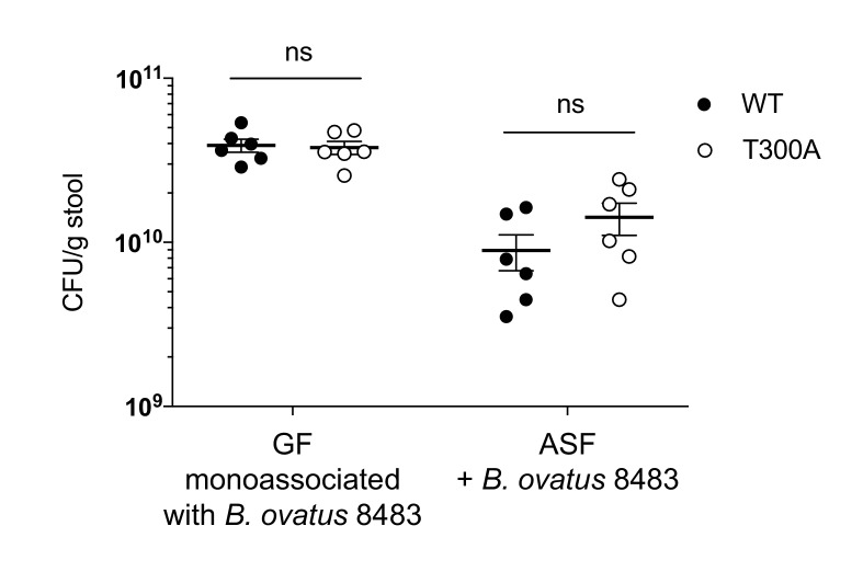 Figure 8—figure supplement 2.