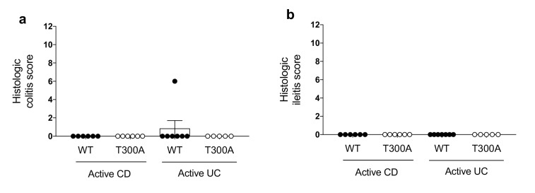 Figure 6—figure supplement 3.