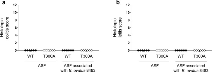 Figure 8—figure supplement 1.