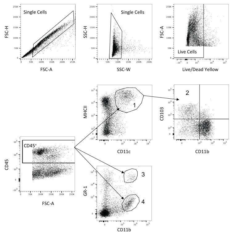 Figure 6—figure supplement 2.