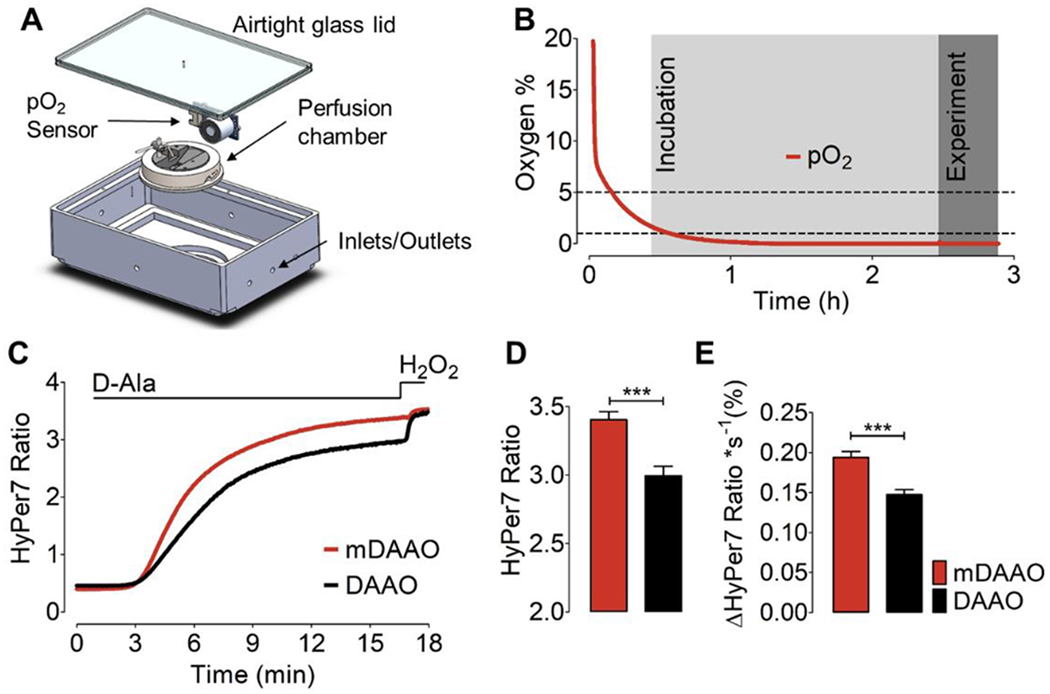 Figure 2: