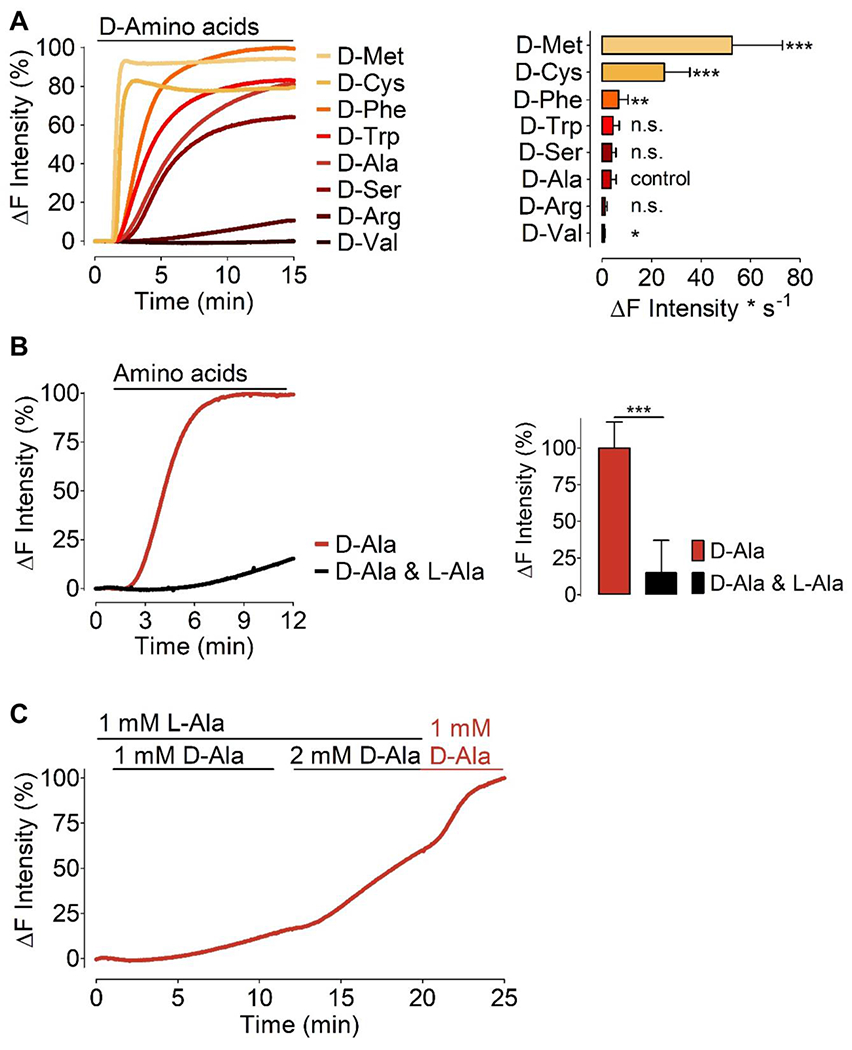 Figure 4: