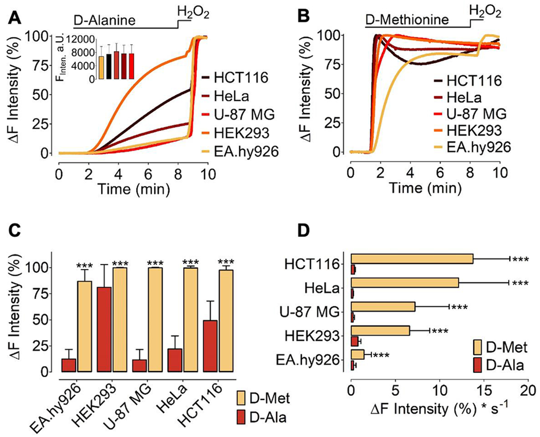 Figure 6: