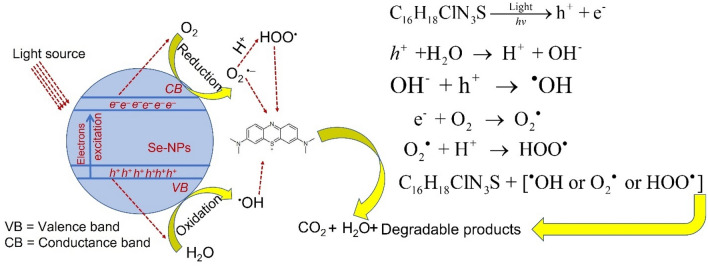 Figure 9