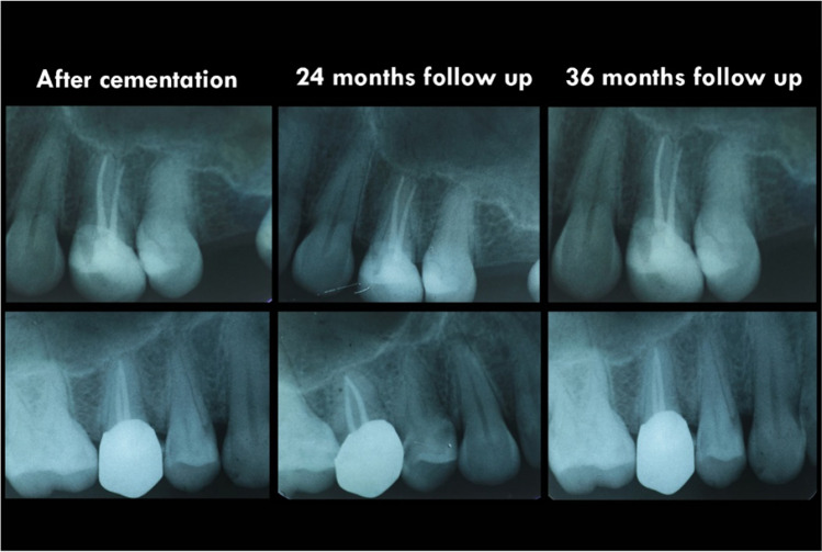 Fig. 7