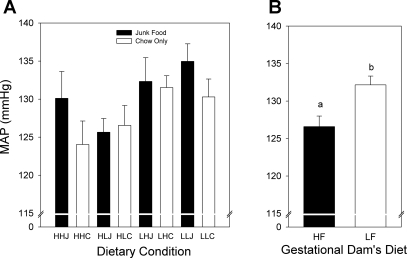 Fig. 8.