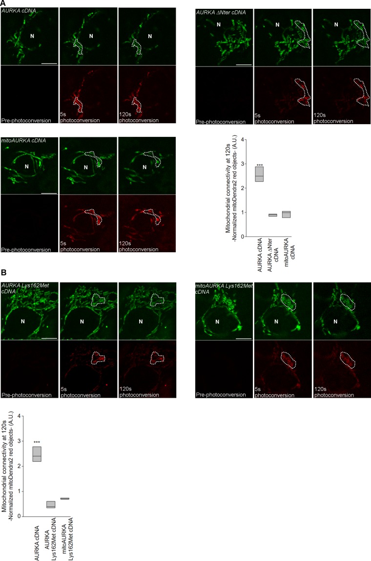 Figure 3—figure supplement 2.