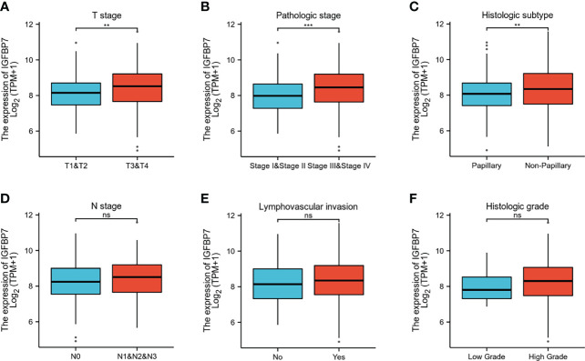 Figure 2