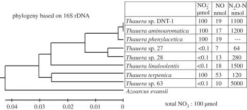 Figure 4.