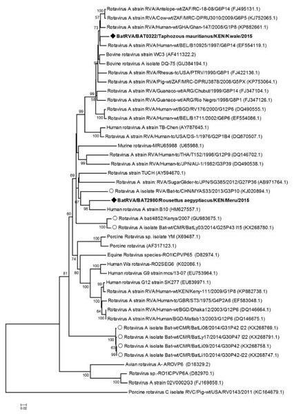 graphic file with name 12250_2016_3930_Fig1_HTML.jpg