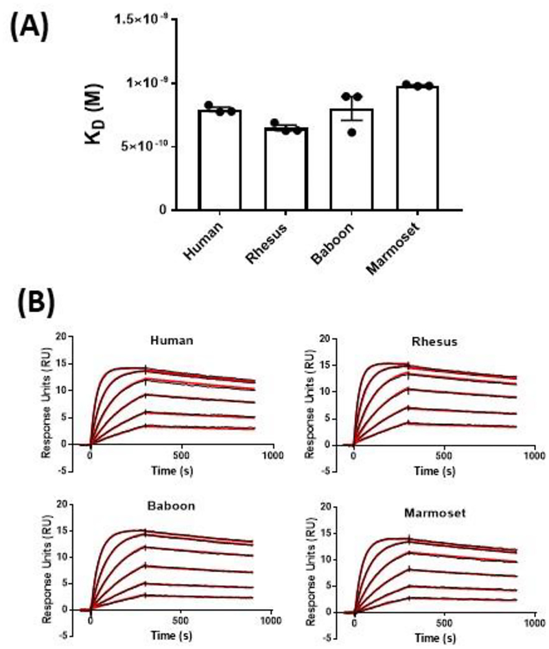 Figure 2: