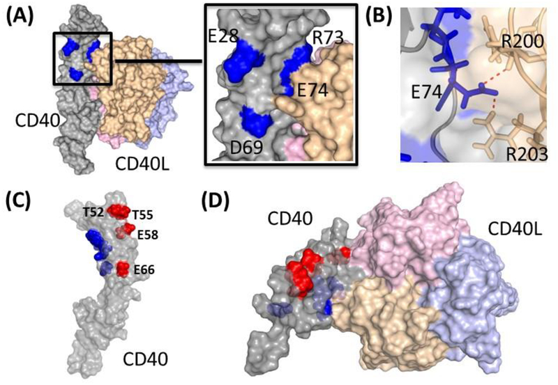 Figure 5: