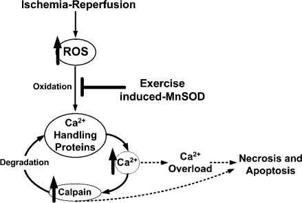 Figure 9.