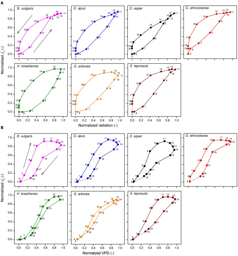 FIGURE 6