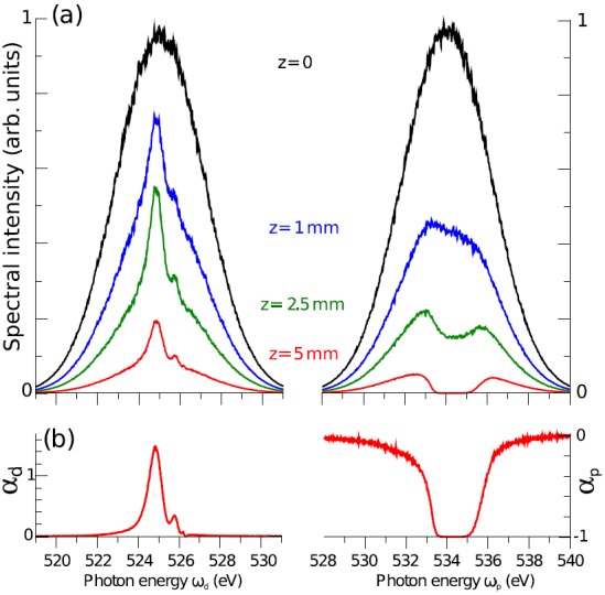 FIG. 2.