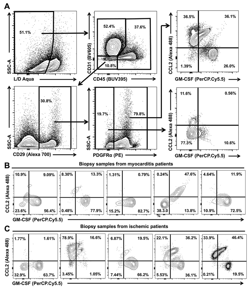 Figure 7.