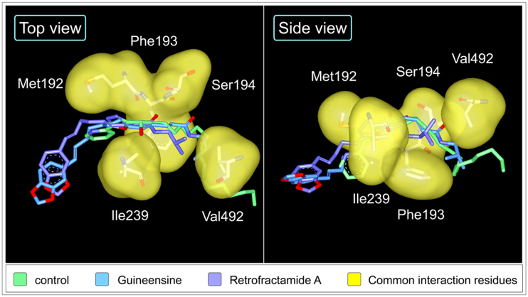 Figure 7