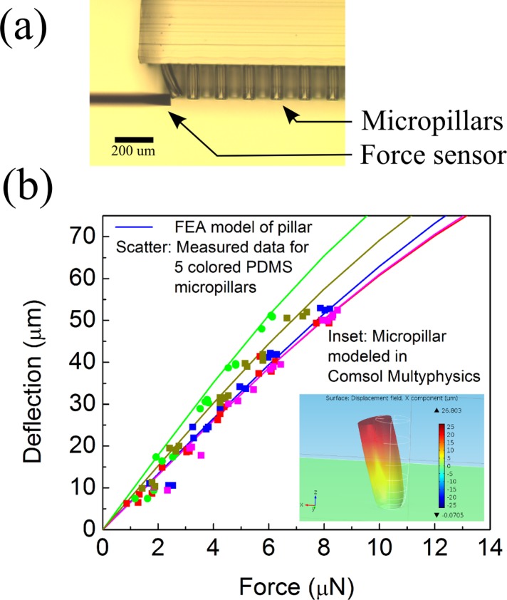 FIG. 7.