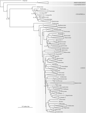 Figure 1.