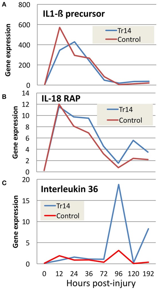 Figure 4