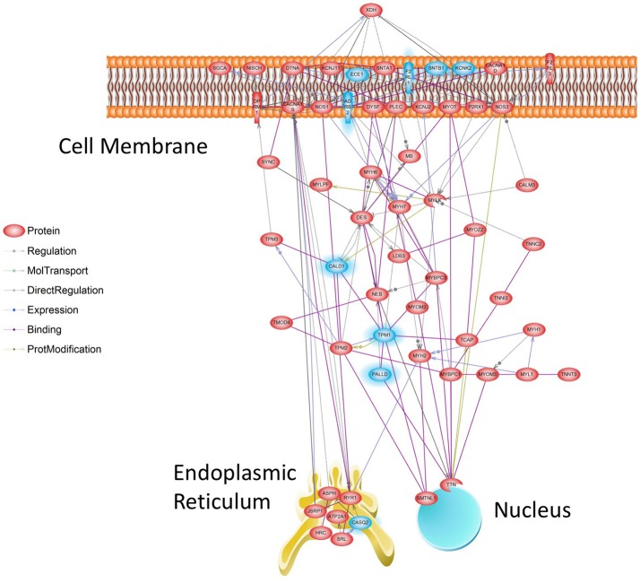 Figure 6