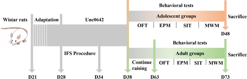 FIGURE 1