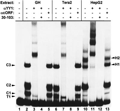 FIG. 6