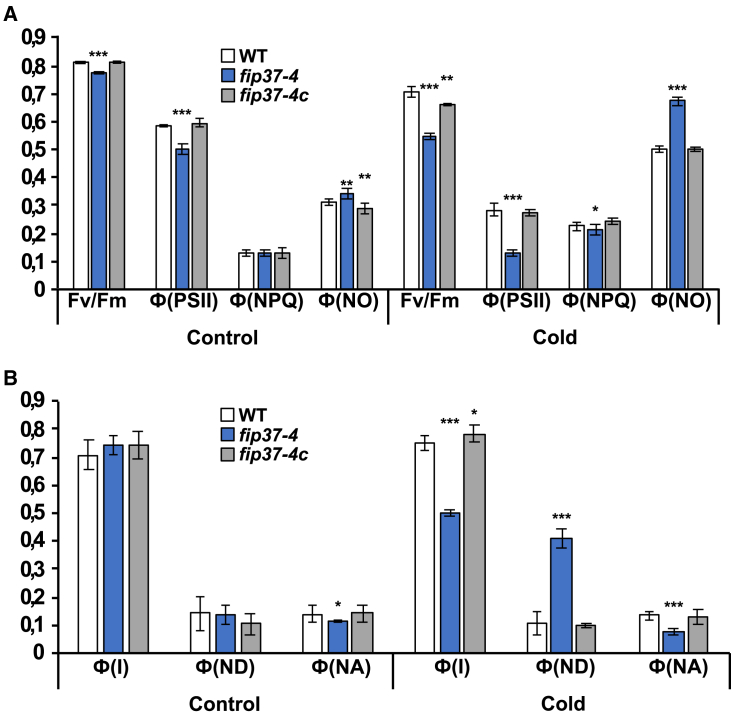 Figure 3