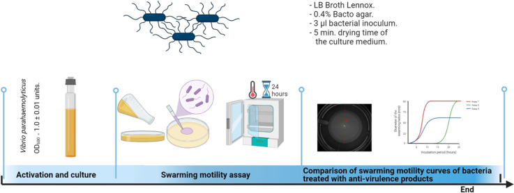 Image, graphical abstract